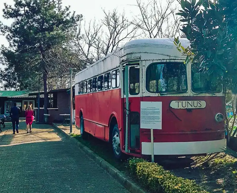 İstanbul ODTÜ Mezunları Derneği Haluk Mesci